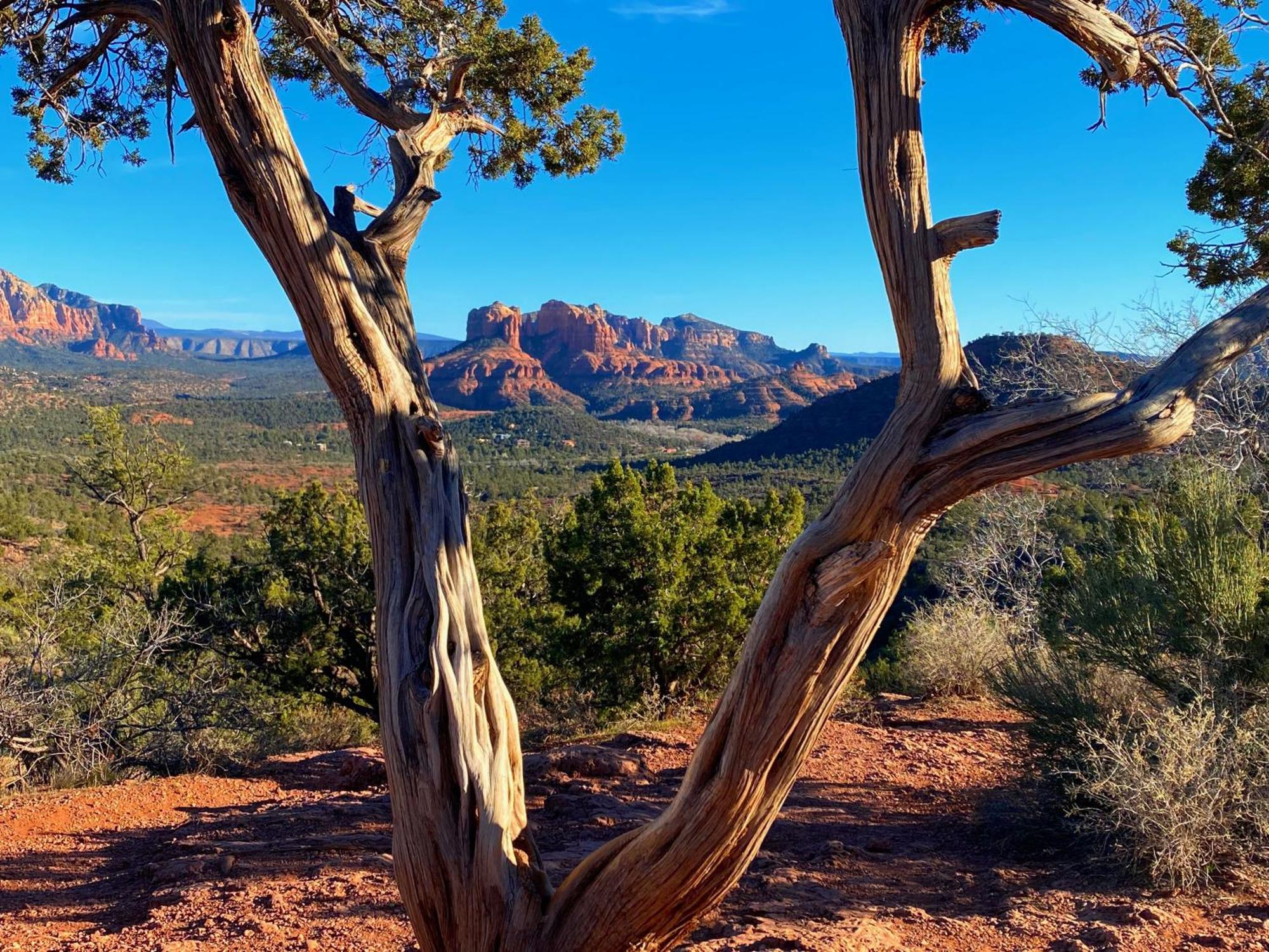 Sedona'S Paradise Found, Saltwater Pool And Hot Tub, Private Oasis! Exteriér fotografie